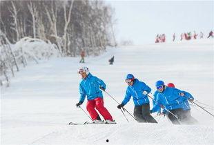 崇礼滑雪吃瓜,一场冰雪盛宴中的吃瓜奇观