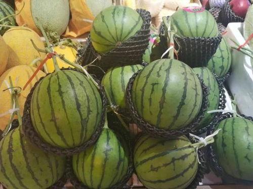 寺庙吃瓜,探寻寺庙中的夏日清凉时光