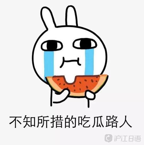 吃瓜事件消息在哪看,各大平台实时消息汇总