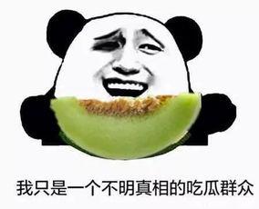 吃瓜群众不在场,事件真相如何揭晓？”