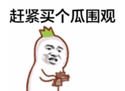 云梦吃瓜表情包,网络潮流下的趣味解读