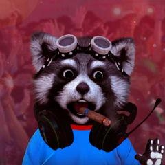 浣熊君吃瓜录屏,一场趣味横生的瓜界盛宴