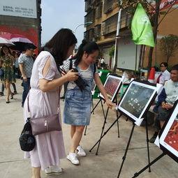 晋城吃瓜群众事件,网络热议背后的真相与反思