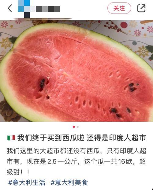 老外吃网纹瓜,异国风情下的甜蜜邂逅