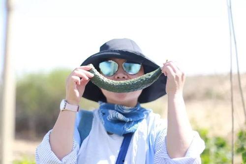 跟着导演吃瓜,跟着导演吃瓜，揭秘幕后故事