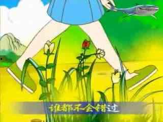 吃瓜放钱的故事,一场别开生面的财富传奇