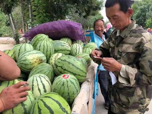 宝藏吃瓜合集,揭秘娱乐圈幕后故事