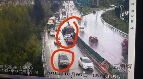 吃瓜群众隔海看热闹,吃瓜群众看热闹的欢乐盛宴