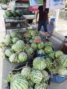 阜新吃瓜事件主角,揭秘主角背后的故事