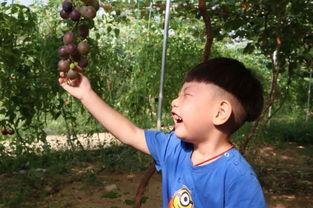 宝妈吃瓜日常,揭秘育儿圈那些事儿