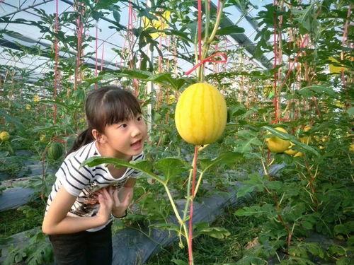 精确吃瓜,精确吃瓜，洞察明星幕后真相