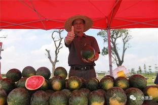 吃雪梨瓜胸闷,揭秘食用禁忌与健康影响