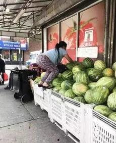 中国吃瓜大妈是谁,中国吃瓜大妈的传奇故事