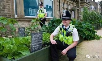 农村小镇吃瓜,探寻农村小镇的夏日风情