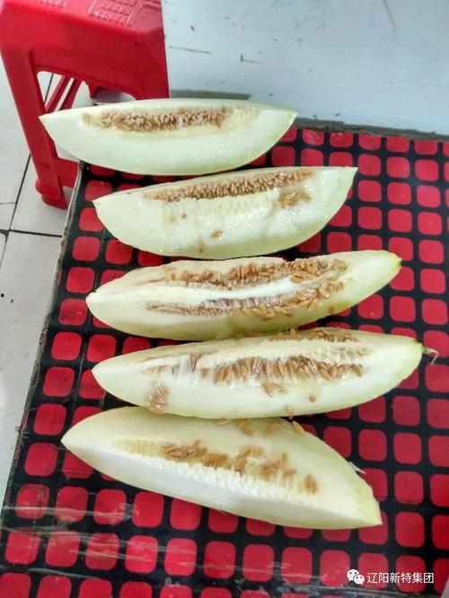 招生带你吃瓜,一网打尽校园美食瓜