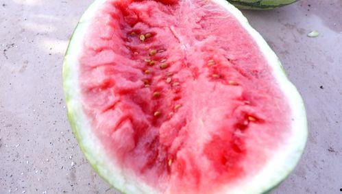 风吹吃瓜,一场别开生面的夏日盛宴