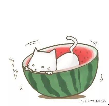 吃瓜qq群头像高级,揭秘吃瓜QQ群头像背后的高级趣味