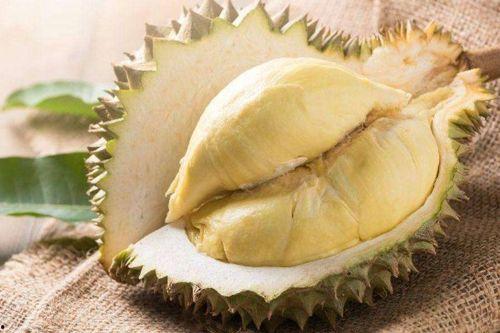 大瓜头蛙吃榴莲,大瓜头蛙的榴莲美食之旅