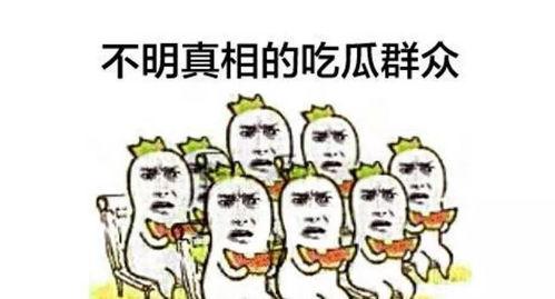 围观与吃瓜群众,揭秘网络舆论场的众生相