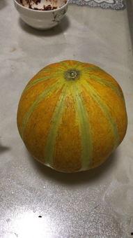 怀孕可以吃普瓜,普瓜助力母婴健康