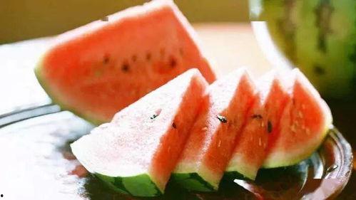 夏日吃瓜搞笑时刻,搞笑吃瓜时刻大盘点