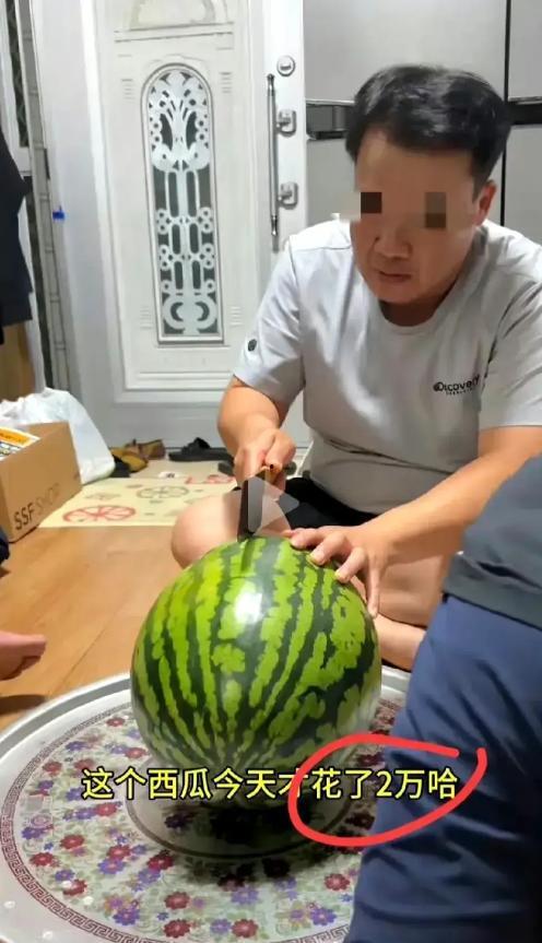 今年网友吃瓜现状,网络狂欢背后的真相与反思